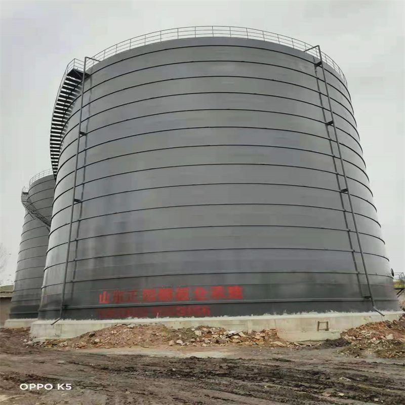 唐河3万吨大型钢板库