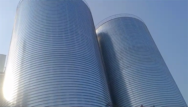 唐河2座混凝土高架卷板仓